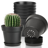 T4U 4-inch pot with drainage holes supports healthy roots and easy watering.