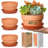 T4U 6-inch clay pot with drainage holes for healthy roots