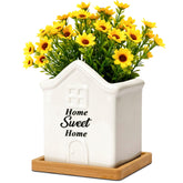 T4U 3.5 inch succulent pot with drainage for small plants on a desk