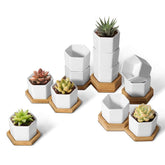 T4U mini white hexagon planter pots with bamboo tray for stylish desk plant displays.