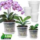 T4U Orchid Pot 4.3-inch view with clear walls for easy root inspection.
