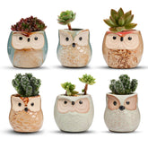 T4U owl planter six-pack with durable ceramic glaze for home décor.