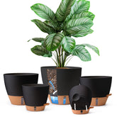 T4U self-watering pot 6-inch with clear level indicator for herbs