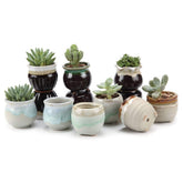 T4U small ceramic succulent pots with glazed finishes enhance elegant home decor.