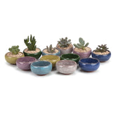 T4U ceramic succulent pot with ice crack glaze for stylish desk decor.