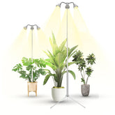 TAURUSY Grow Light full-spectrum in-pot setup supports thriving seedlings.