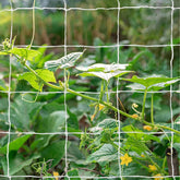 TCamp garden trellis netting close-up shows sturdy polyester mesh for strong vine support.