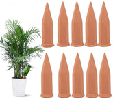Tcamp terracotta watering spike in bottle setup demonstrates steady hydration while away