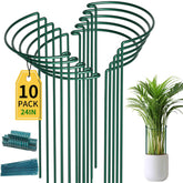 TCBWFY plant support stake 10x24 cage shows sturdy construction for heavy blooms