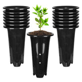 tchrules deep plant pot with 8.66-inch height supports robust seedling growth