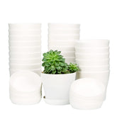 TDHDIKE 10pcs plastic planters with pallet offer compact indoor display space