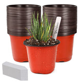 TDHDIKE 4-inch seedling pot set with 100 pieces for easy starting.