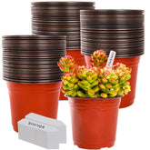TDHDIKE 6-inch plastic pot top view for seedling starts and organization.