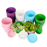 TDHDIKE mini pots in a color pack with tray for easy arrangement.