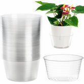 Tebery 50-pack clear plant saucers, top view showing easy water level monitoring.