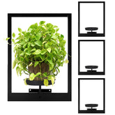Tecked window plant shelf display for stylish indoor decor with black metal.
