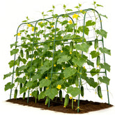 Tegarbed cucumber trellis with U-shape design supports climbing vines and airflow.