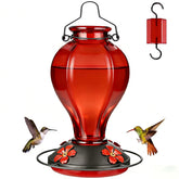 Tegarbed glass hummingbird feeder outdoors in a sunlit garden offering nectar to visitors