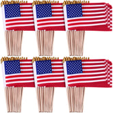Tegeme mini US flag on a wooden stick, perfect for quick yard decor.