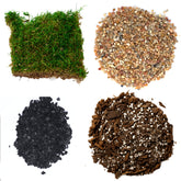 TerraGreen Creations succulent planter kit packaging enables easy terrarium setup.