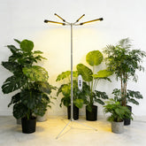 Tesdluy full-spectrum halo base provides even lighting for thriving indoor plants.