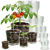 TESSTSY clear nursery pot 3 inch with drainage and root visibility.