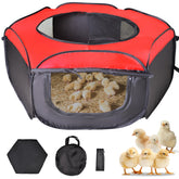 Tetuga Brooder Box inside view showing complete chick starter kit for safe indoor brooding