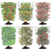 Tetutor blueberry netting cover with drawstring protects ripe berries from birds.