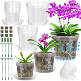 Tetutor orchid pot 4-inch clear with holes for fast drainage and monitoring.