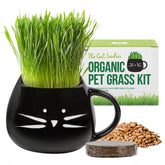 The Cat Ladies cat grass kit in a black planter, fresh greens for indoor cats.