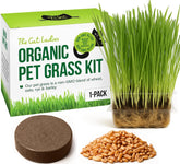 The Cat Ladies cat grass kit packaging shows eco-friendly design and ready-to-use setup