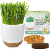 The Cat Ladies cat grass kit planter closeup—stylish indoor greens for your cat.