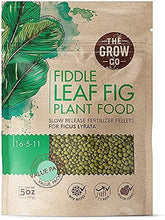 The Grow Co fiddle leaf fig food pellets in a jar deliver steady nutrients for healthy growth