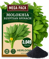 The Lucky Stars Molokhia seeds pack overview showing abundance and planning ease.