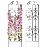 Thealyn Garden Trellis 80in-22in two-pack providing tall, reliable plant support