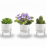 Thorkok self-watering planter with a 3.2-inch opening for easy plant care.