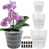 Tialero orchid pot 12-pack clear set for multiple sizes and easy repotting