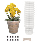 Tialero orchid pot 4.5in clear view with visible roots for easy monitoring.