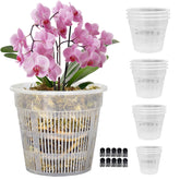 Tialero 7.5-inch clear orchid pot showing root visibility for monitoring