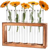 Tigvio desktop propagation station with wooden stand enhances home decor and plant propagation.