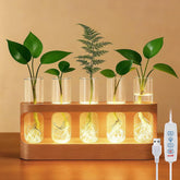 Tigvio propagation station with LED panel enhances desktop herb growth.