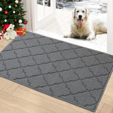 Timo indoor doormat front door setup demonstrates entryway cleanliness.