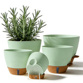 Tinecio self-watering pot in green front view with water window for easy moisture checks