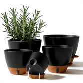 Tinecio self-watering pot with water window aids moisture monitoring.