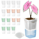 TineDew 2-inch self-watering pot with clear walls for easy root watching