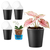 TineDew cachepots with clear inner pot showing root visibility for monitoring.