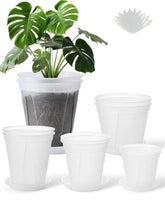 TineDew clear nursery pot 5-inch with saucer showing visible root health potential.
