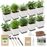 TitaniX 10-set indoor herb garden kit for easy growing