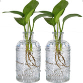 TIWPAJS propagation vases with vintage relief pattern show roots clearly for observation and design.