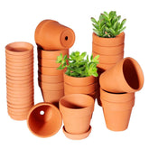 TKSCUSR 3-Inch terracotta pot with saucer for organized plant displays.